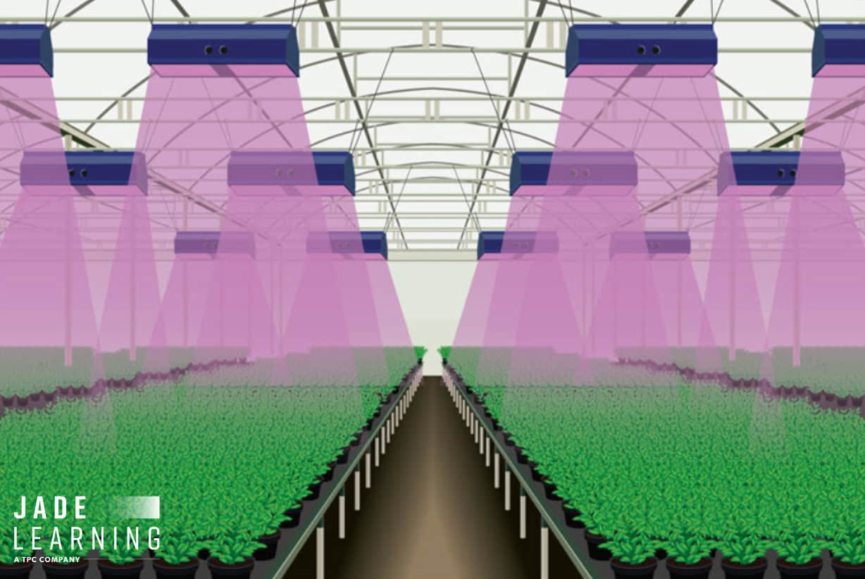 NEC Article 410 Part XVI: Horticultural Lighting