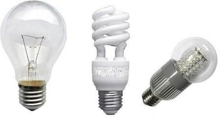 Identifying Light Bulbs by Shape and Size