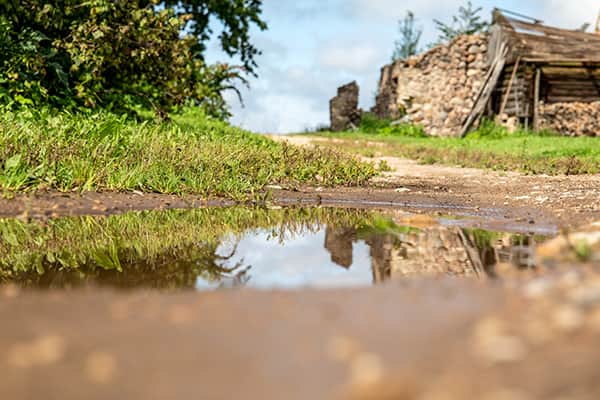 Wildfires and Water Treatment