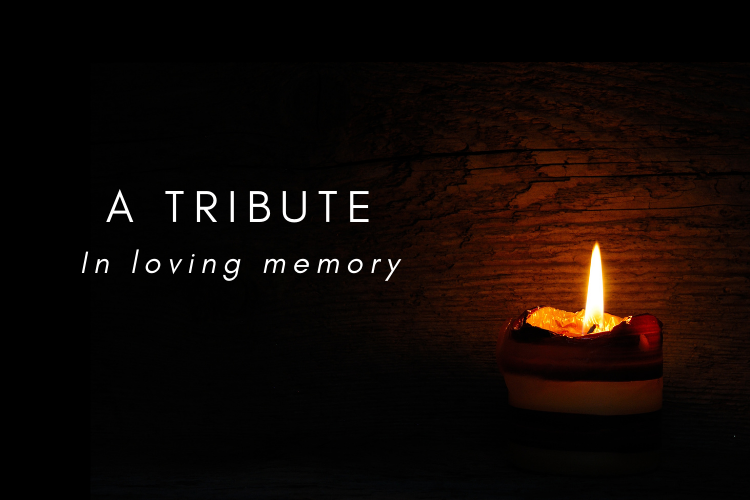 Tribute to Steven Lambert